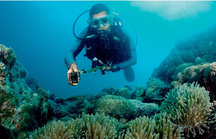 Dive-Door_img-1200-6095
