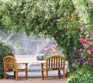 Čo uvarila JOJka pre svojich divákov na rok 2015 - Nova Zahrada