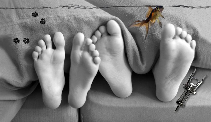 Prieskum Sviatok zamilovaných Valentín oslavuje 70 percent Slovákov-autor fotokolaze Marian Luha