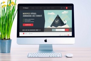 Firma Websupport expanduje do Maďarska, kúpila firmu Gyümölcstárhely-autor foto-William Iven,zdroj-pixabay.com-autor foto kolaze-Marian Luha