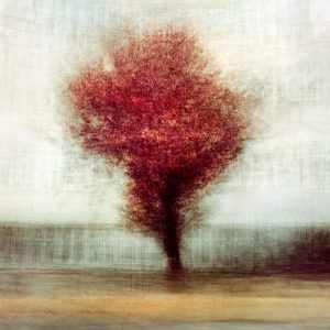 Longital-obal noveho albumu-A to je všetko