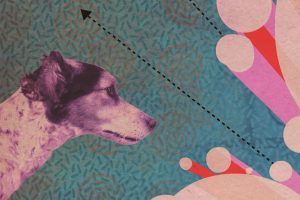 Spojili ste si niekedy hudbu s animovaným filmom Príďte na Fest Anču!