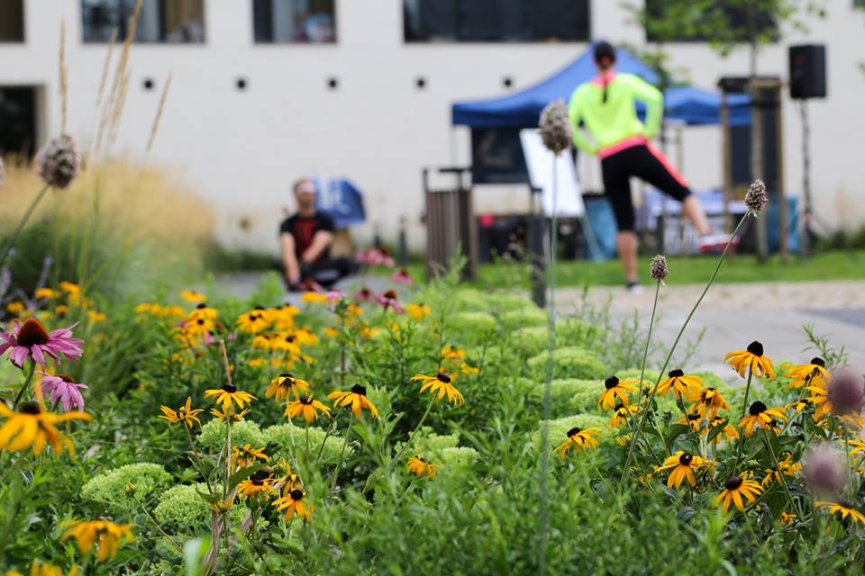 Slnecnice - Sportovy den 23.7.2016 zdroj Cresco Group