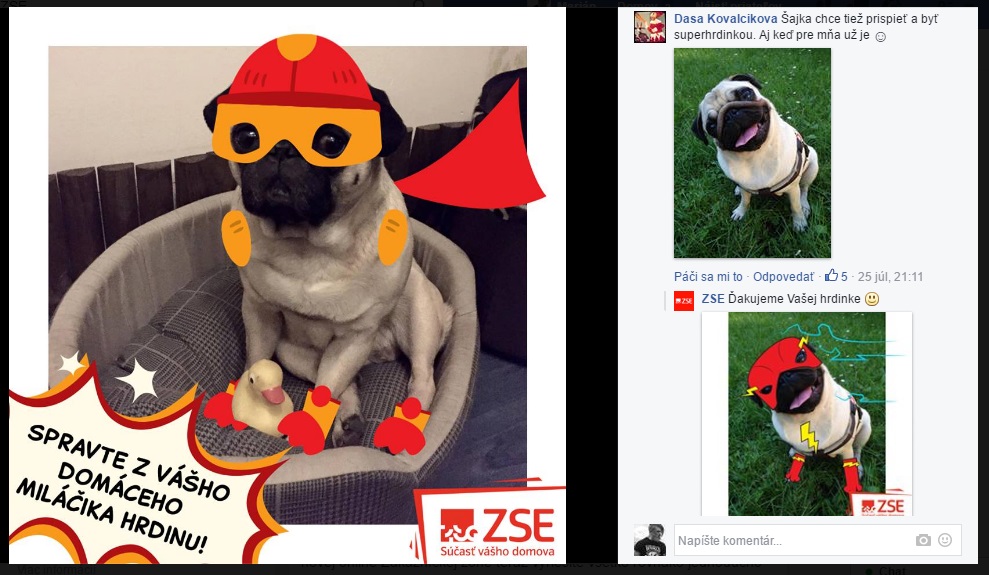 repre foto Facebook ZSE 27.7.2016 ukazka - domaci milacik - super hrdina