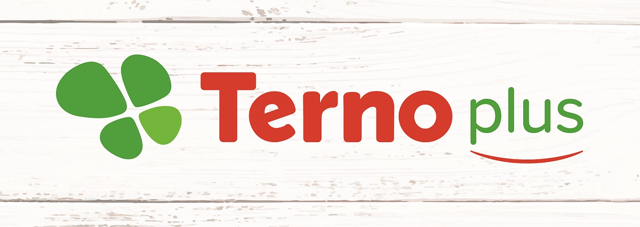 logo Terno plus