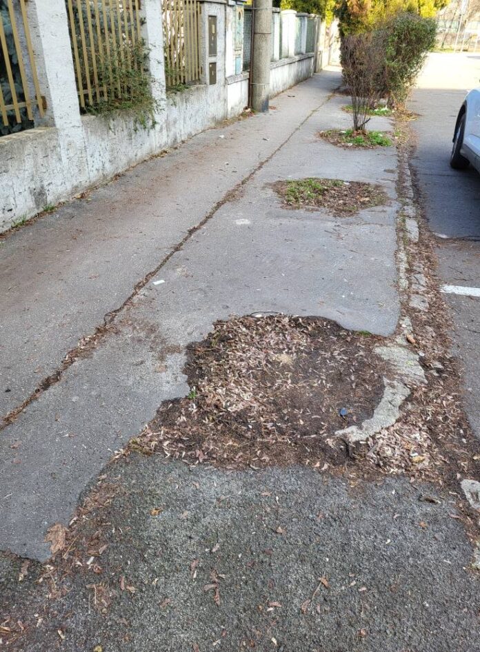 Obyvatelia Nového Mesta žiadajú dosadiť stromy, samospráva plánuje širšiu revitalizáciu