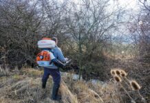 Bratislava už začala boj s komármi. Tablety proti larvám budú opäť aj na miestnych úradoch