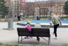 Prieskum v Novom Meste vyvolal spor. Arva hovorí o kampani za verejné peniaze, Troiak o štandardnom nástroji samosprávy