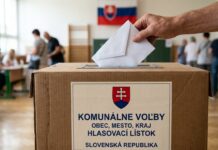 SNS navrhuje predĺženie volebného obdobia parlamentu aj samospráv na päť rokov