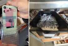 Colníci v Žiline odhalili tisíce falošných výrobkov Apple. Škoda sa blíži k 660-tisíc eurám apple falosne vyrobky