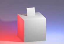 Pellegrini vyhlásil referendum na 4. júla, otázku o predčasných voľbách z neho vynechal