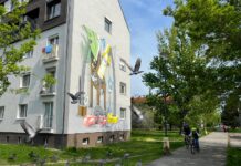 Rača rieši mestské holuby. Väčšina ľudí v ankete podporila humánne riešenie problému