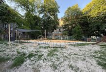 Ružinov pre sucho prerušuje kosenie. Martin Chren hovorí o zmene, akú mestská časť doteraz nezažila