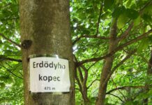 Erdődyho kopec je najvyšším vrchom Rače. Malé Karpaty ponúkajú aj priestor na nový náučný chodník