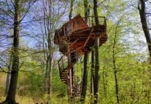 Krásne panorámy aj domček na strome. Bratislavský kraj odporúča cyklovýlet, ktorý zvládnete za približne štyri hodiny