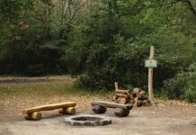 V Petržalskom lesoparku pribudli nové ohniská. Opekanie je opäť bezpečnejšie