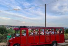 Račanská lokálka opäť vyráža do vinohradov. Letné piatky ponúkajú víno, gastronómiu aj jedinečné výhľady na Bratislavu