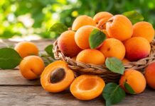 Marhule sú plné vitamínov, no aj pri nich platí: všetkého s mierou