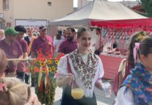 Na Račianske vinobranie odvezie návštevníkov historický Vinobranie Expres. Premávať bude medzi Račou a Vajnorami
