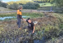 V Rajeckej doline obnovujú mokrade a zadržiavajú vodu v krajine. Dobrovoľníci vyrobili aj 1 200 litrov biouhlia