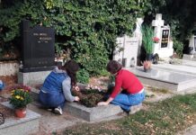 Dušičky sa blížia: Bratislavské cintoríny ožívajú prípravami a ukrývajú pozoruhodné príbehy z histórie mesta